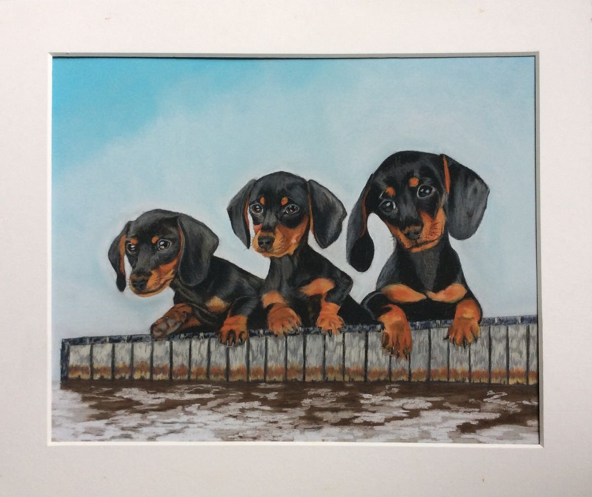 Pups on the Dock by Anne Shaughnessy