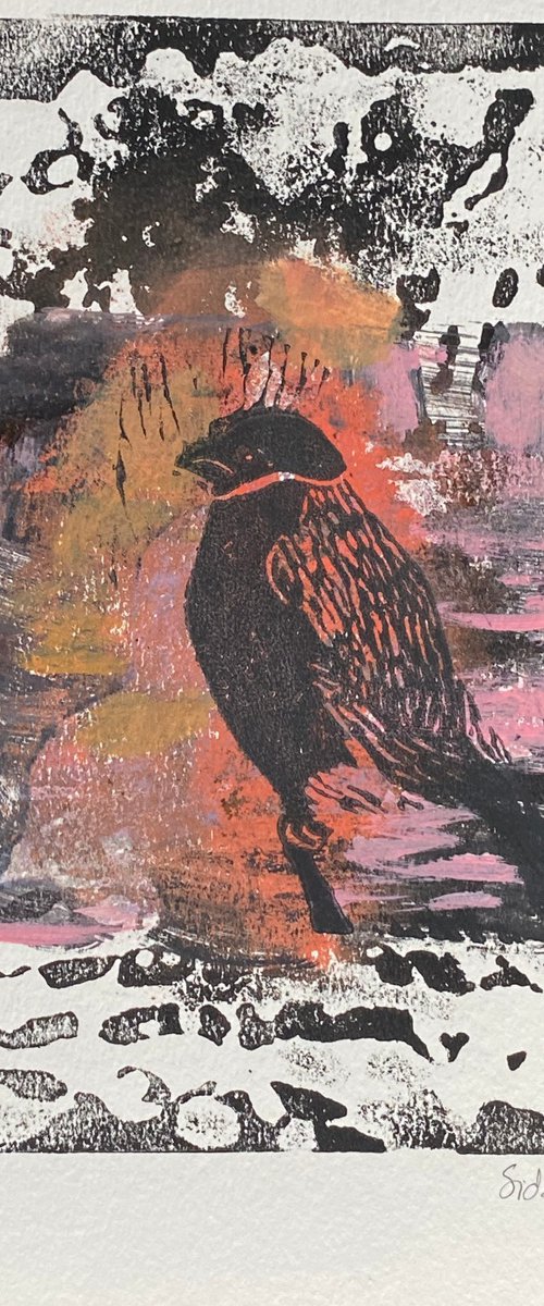 Lyset trænes af mørket (The light is trained by the dark) by Sidse Friis