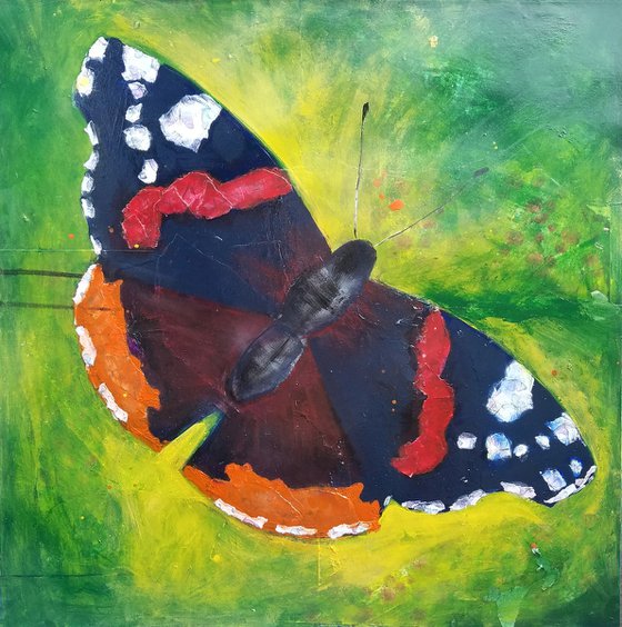 Red Admiral Butterfly
