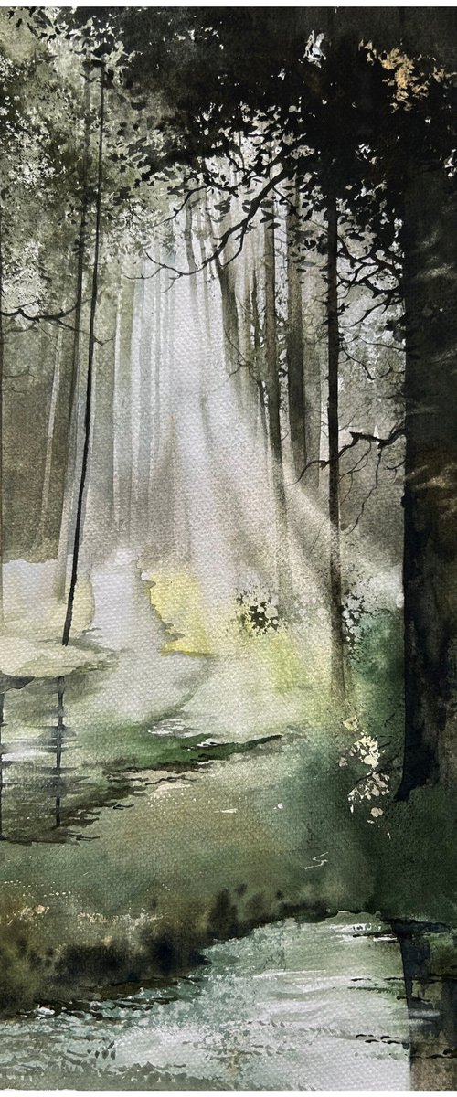 Rays among the trees by Nazar Grunyka