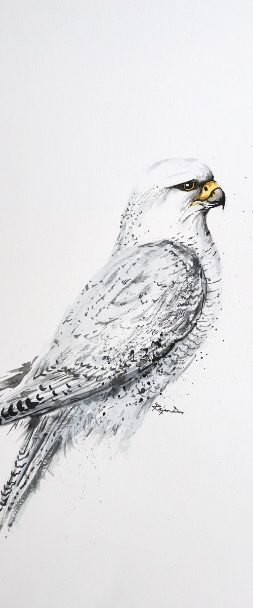 Birds Of Prey A3-8 by Rajan Dey