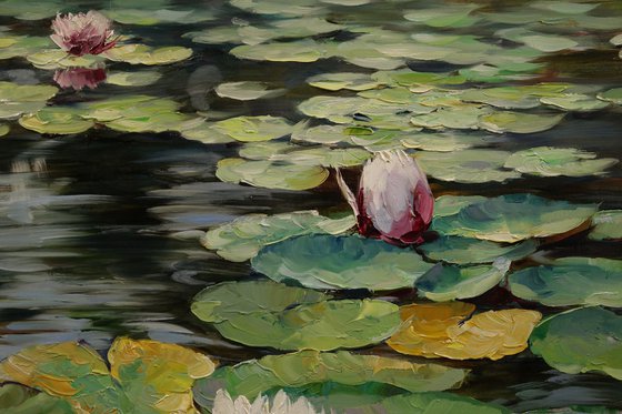 "Symphony of Water Lilies"