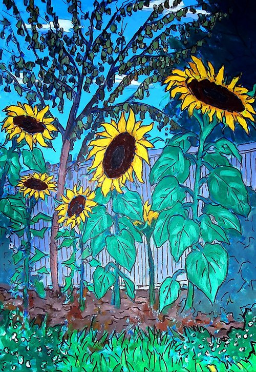Sunflowers in daughter's garden by Colin Ross Jack