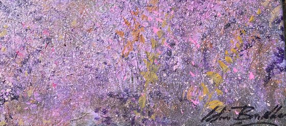 "PURPLE DAWN "