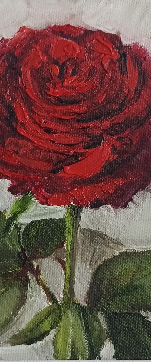 Red rose oil painting mini wall art 6x6" by Leyla Demir