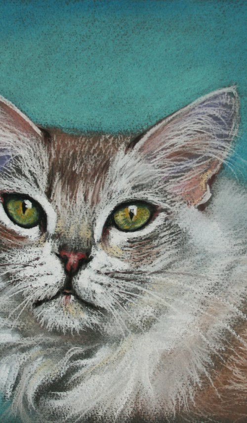 Portrait of Cat I /  ORIGINAL PAINTING by Salana Art Gallery