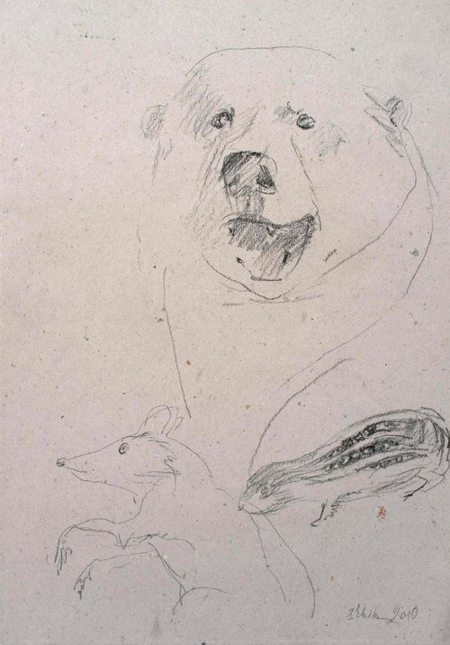 Sketches from the animal world. Big and Small by Irina Bibik-Chkolian