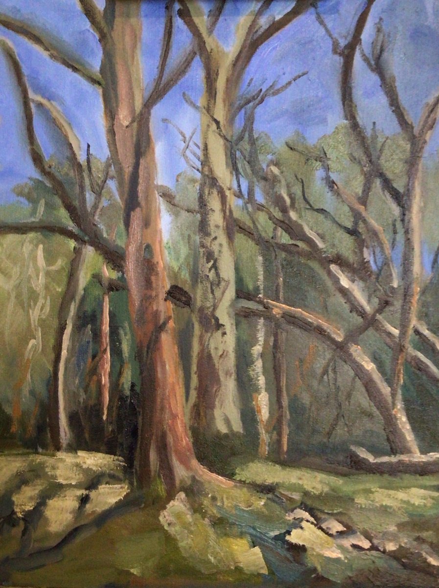 Impressionistic Landscape Oil Painting By Julian Lovegrove Art, 12 X 16", Woodland Trees, Original Artwork