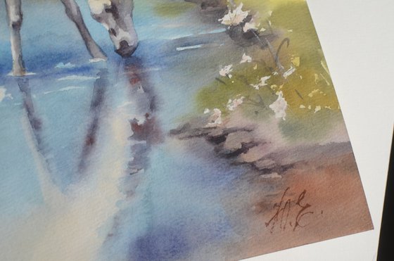 White Horse / Mountain Stream