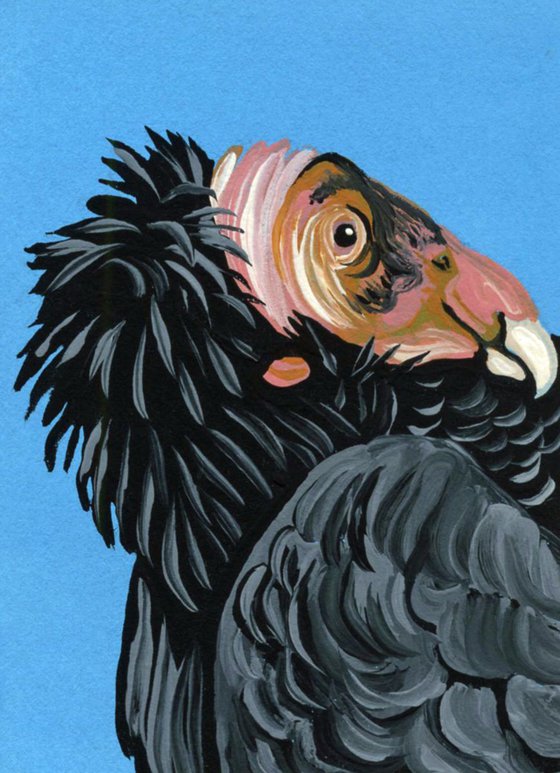 ACEO ATC Original Painting California Condor Wildlife Bird Art-Carla Smale