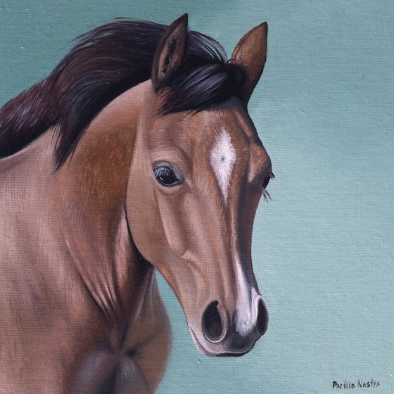 Horse Portrait 49