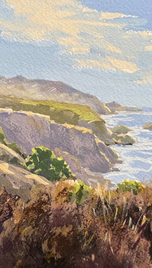 Coastal Veils Of Light by Tatyana Fogarty