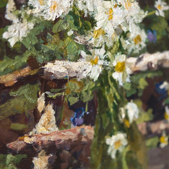 Still Life with Daisies