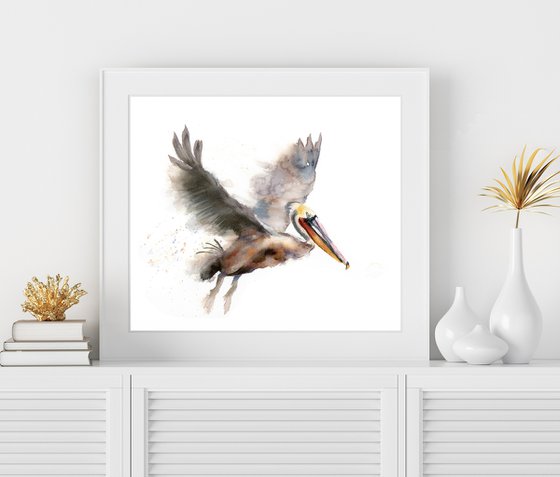 Flying Pelican  -  Original Watercolor Painting