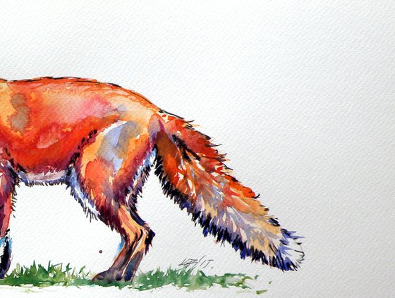 Red fox
