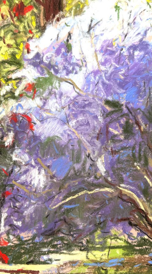 Azalea - Isabella Plantation by Natalie Bird