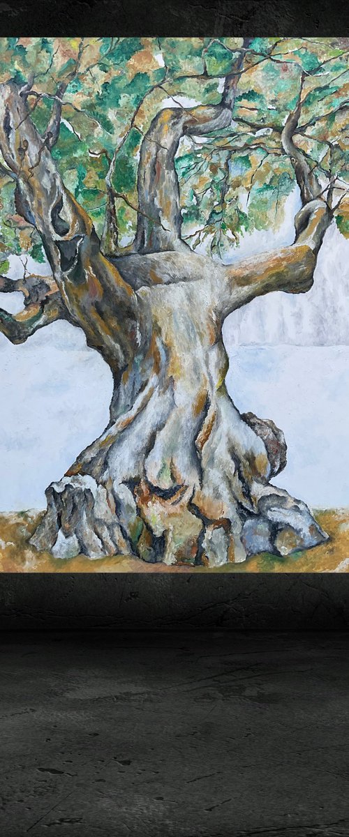 Old tree by Jg Wilson