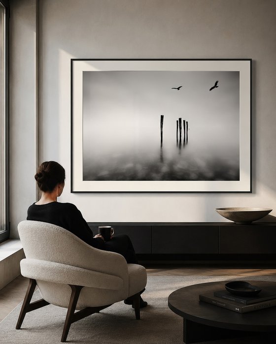 Dreaming in Monochrome