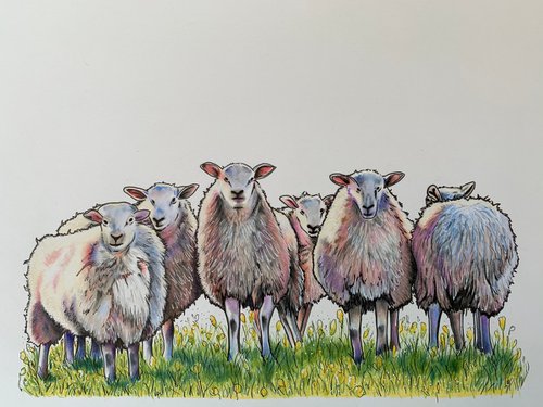 Sheep (the camera’s that way Mavis!) by Karen Elaine  Evans