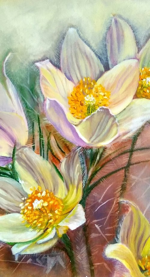 First snowdrops by Yulia Berseneva