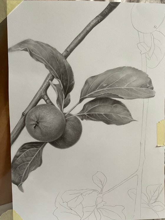 The Taste of Childhood