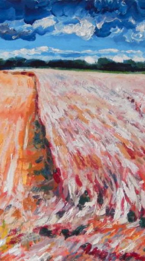 Fields Near Kilrenny, Fife by Stephen Howard Harrison