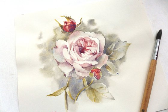 Rose in vintage style, watercolor painting