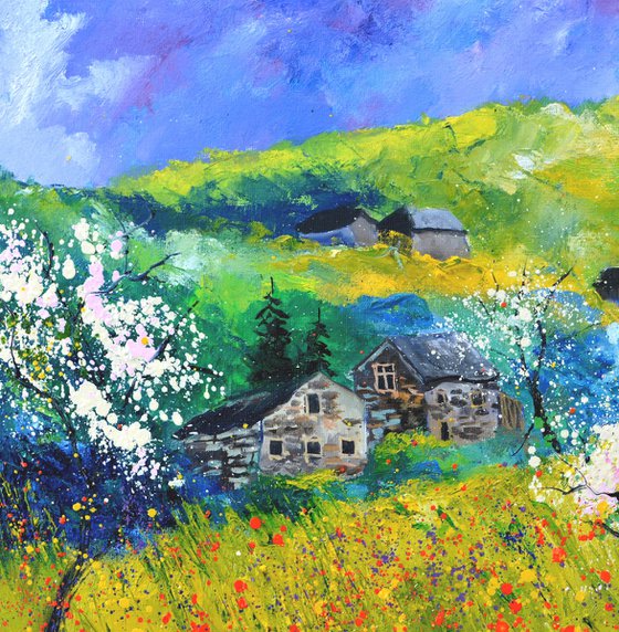 Spring in my countryside  7623
