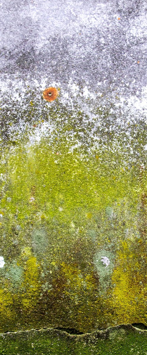 Wall 11 by Maciej Jabkowski