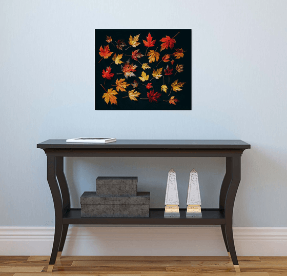 Autumn Maple Leaves