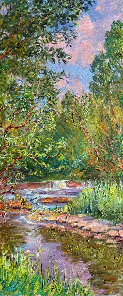 A River Never Looks the Same Twice by Aleksandr Dubrovskyy