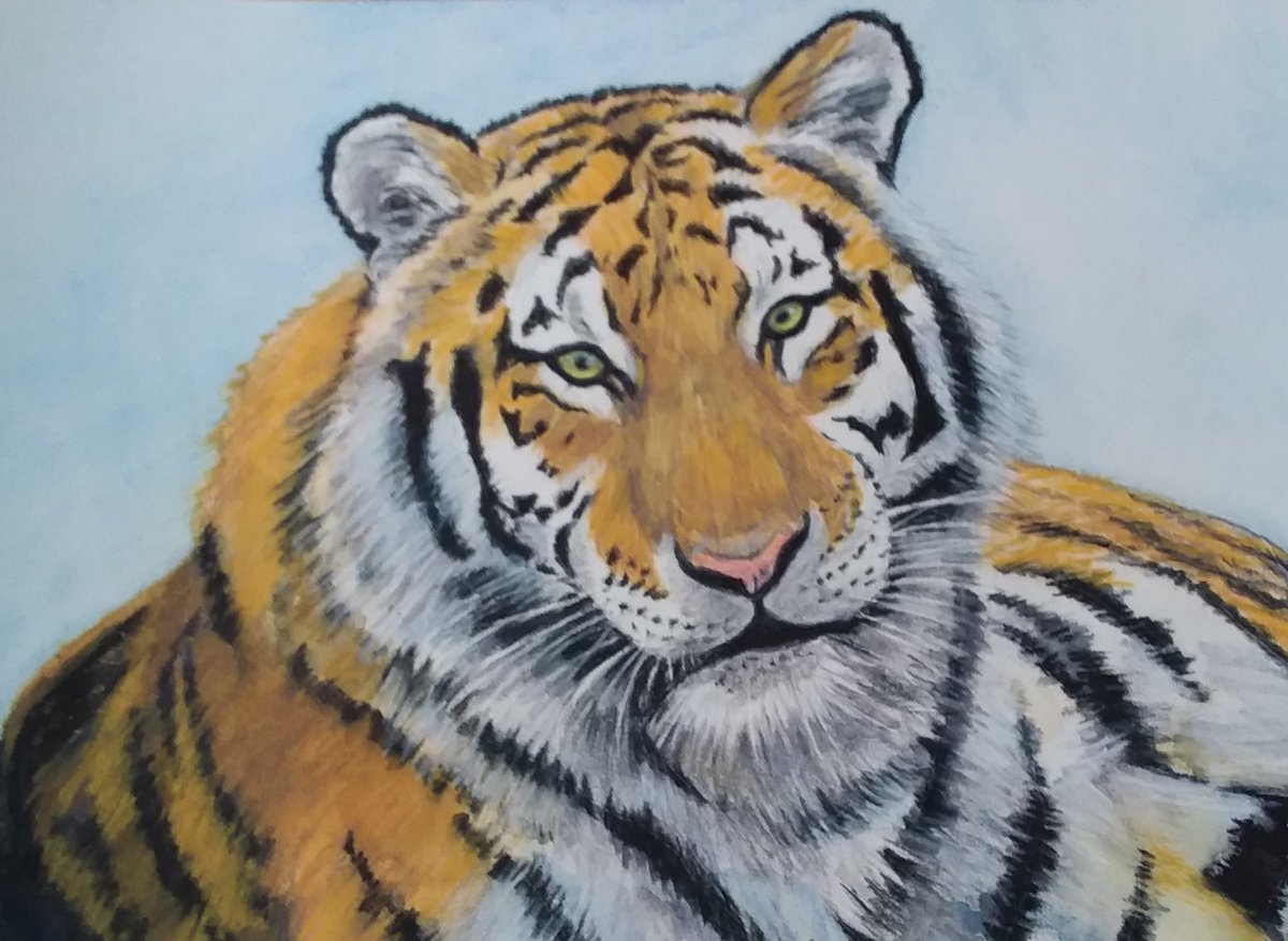 Tiger by Maureen  Crofts