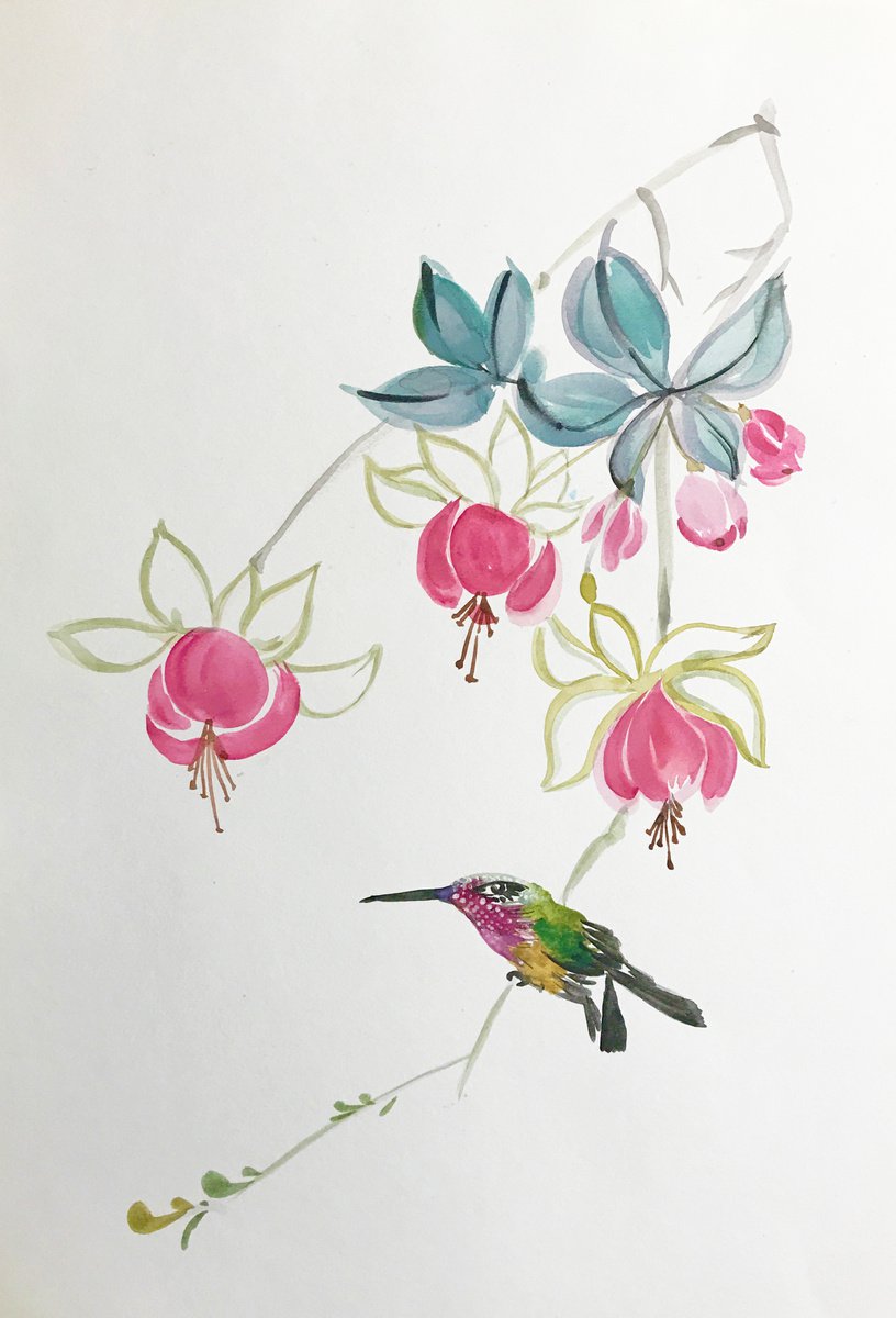 Fuchsia & Colibri by Anastasia Terskih