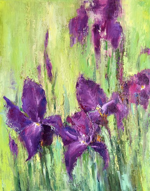 Irises by Olga Kholodova