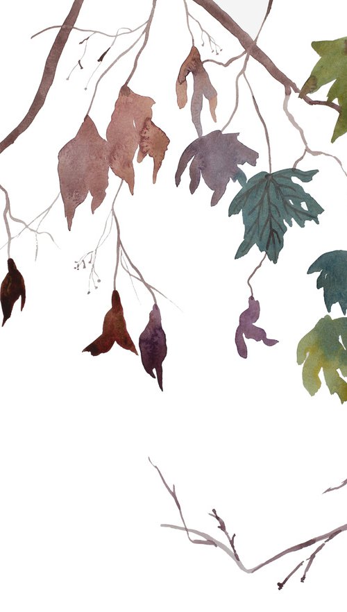 Branch Study No. 30 by Elizabeth Becker