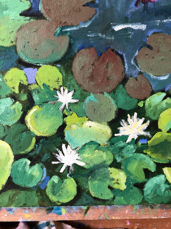 Waterlily 60-60cm