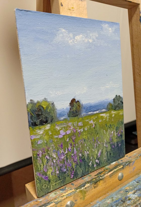 Impression. Flowering meadow