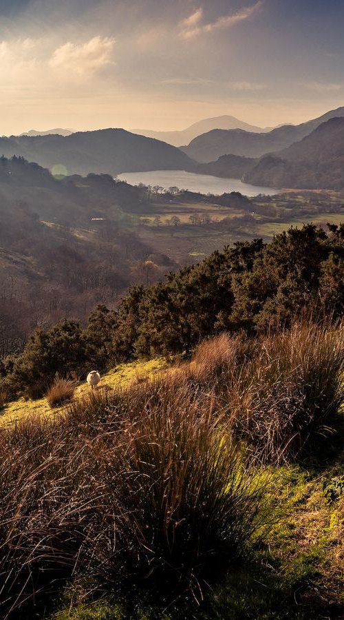 Gentle Light Over Llyn Gwynant by Peter Verity