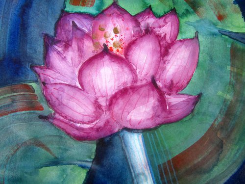 Magenta Pink Lotus Flower by Violeta Damjanovic-Behrendt