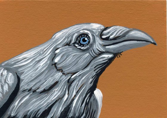 ACEO ATC Original Miniature Painting White Spirit Crow Raven Bird Wildlife Art-Carla Smale