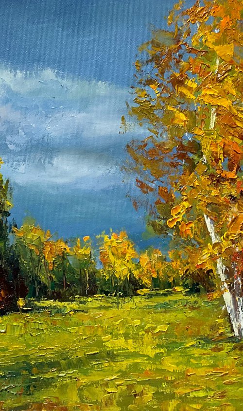 Sun after rain. Autumn by Mariia Hyhar