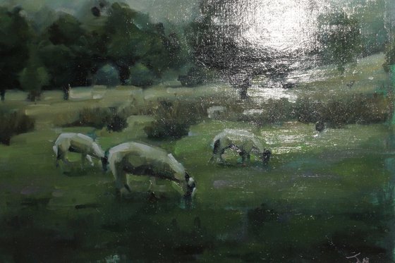 Flock At Rest