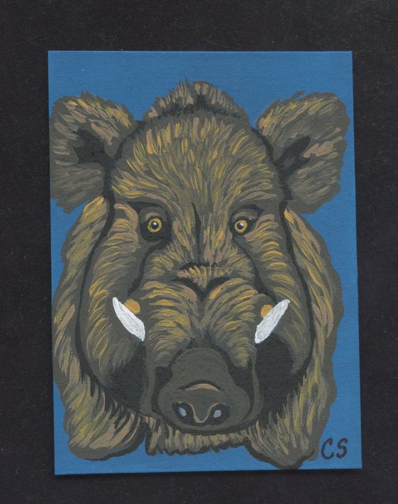 ACEO ATC Original Miniature Painting Wild Boar Hog Animal Art-Carla Smale