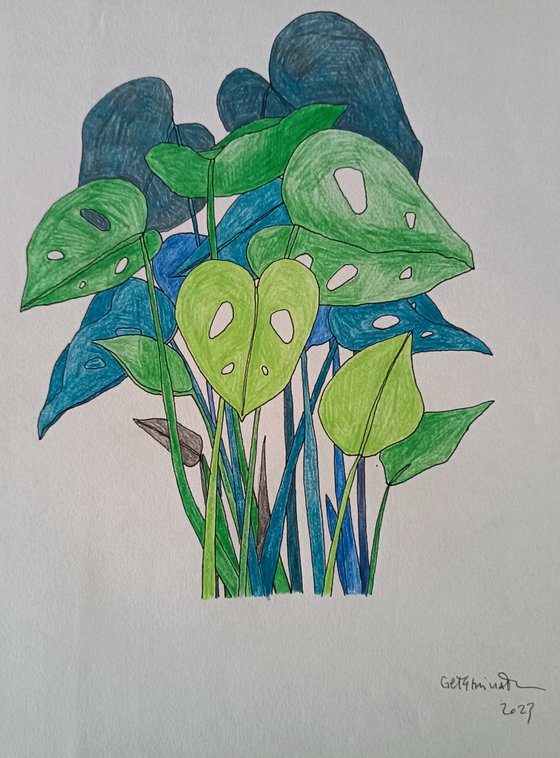 draw 10.0