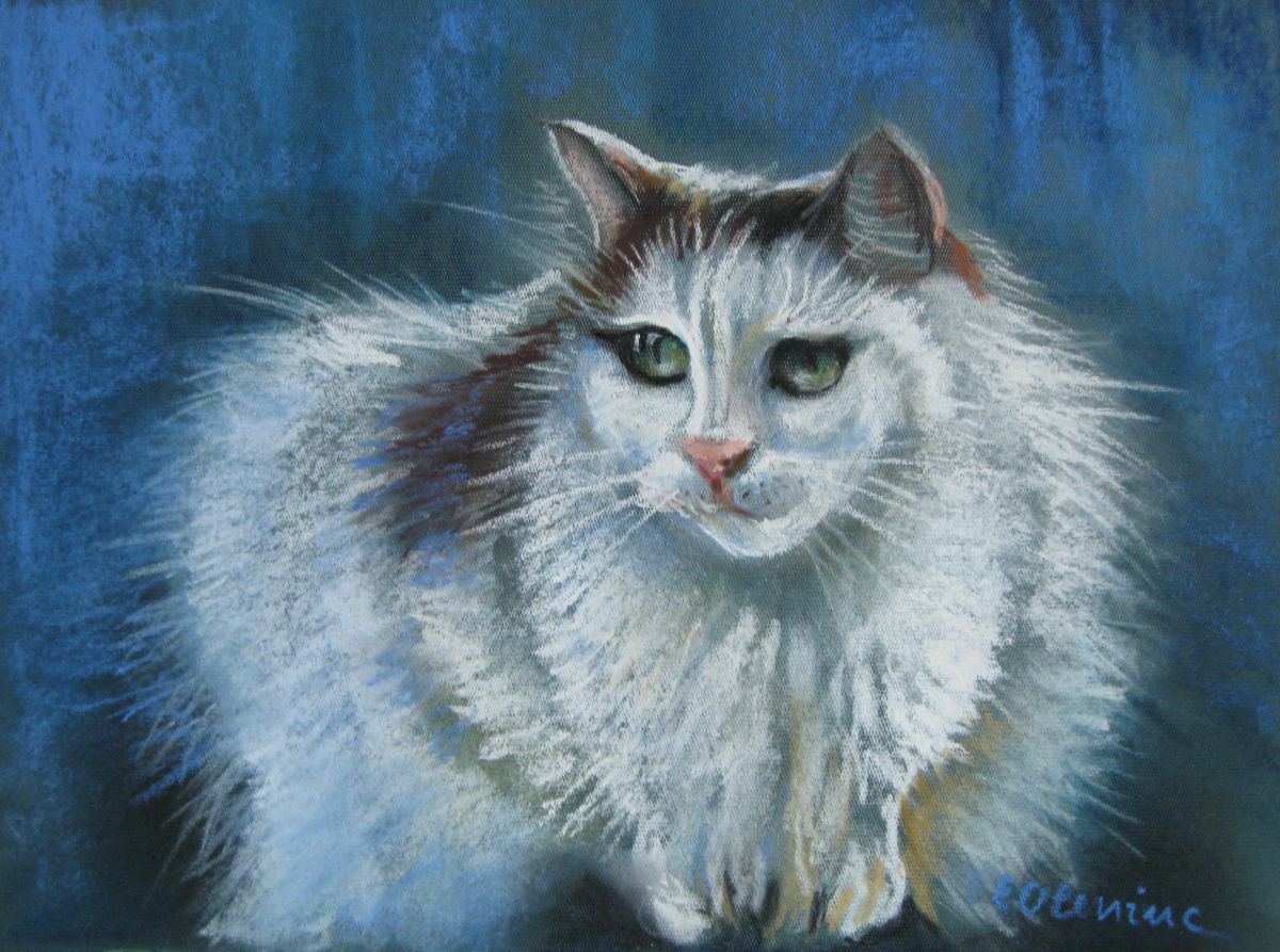 White cat by Elena Oleniuc