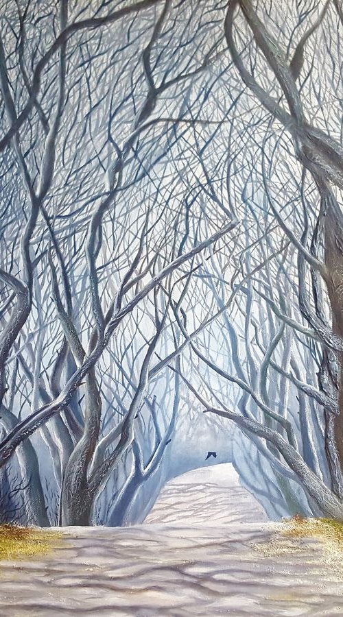 "The dark hedges" by Yulia Pristupa