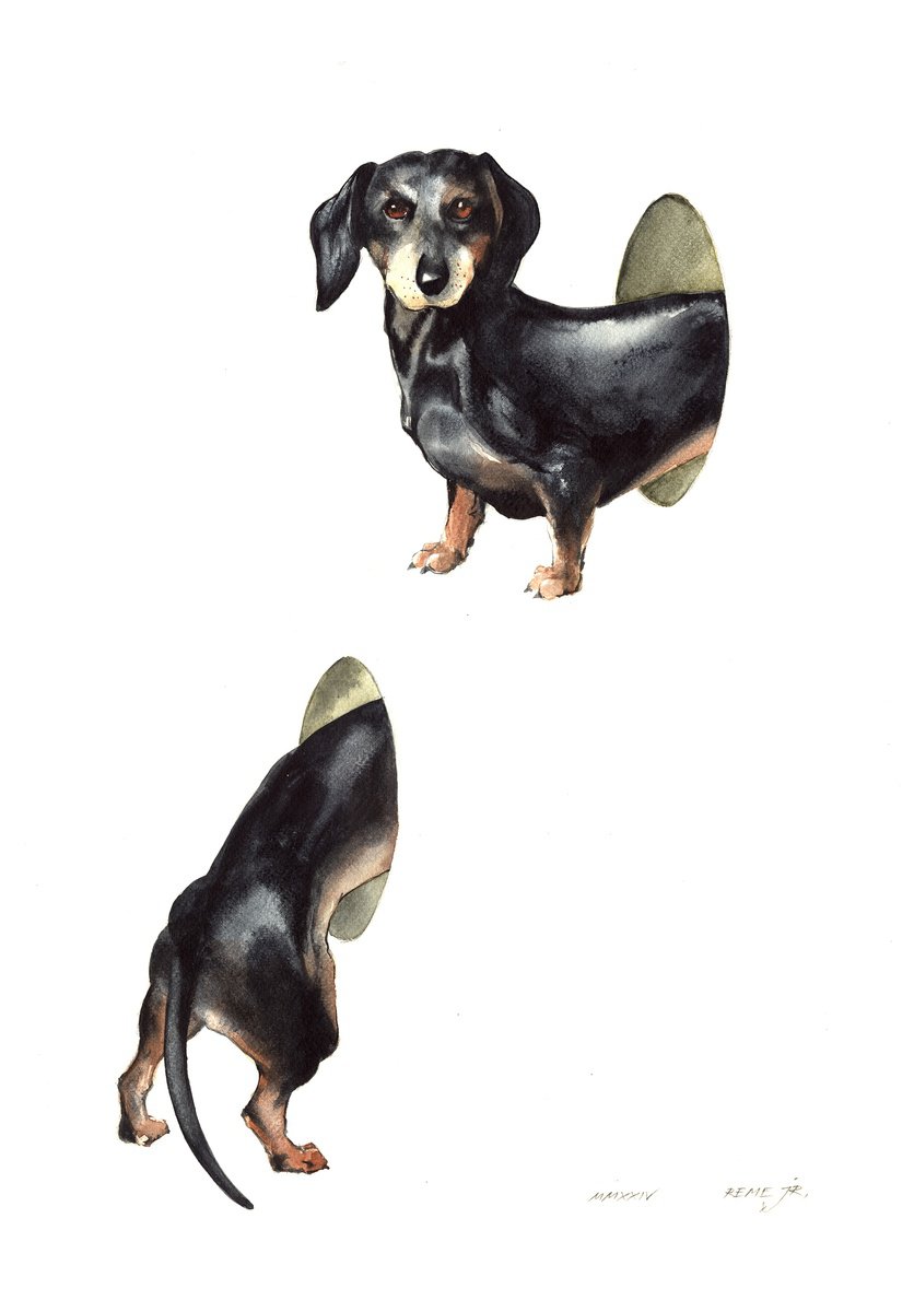Photorealistic Animal Watercolour By Reme Jr., 14 X 20", Dachshund (Sausage Dog), Original Artwork