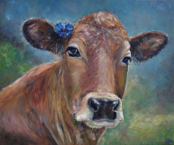 A Cow With A Cornflower Behind Its Ear