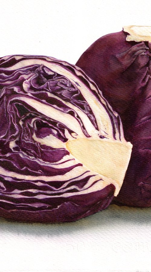 Red Cabbage by REME Jr.