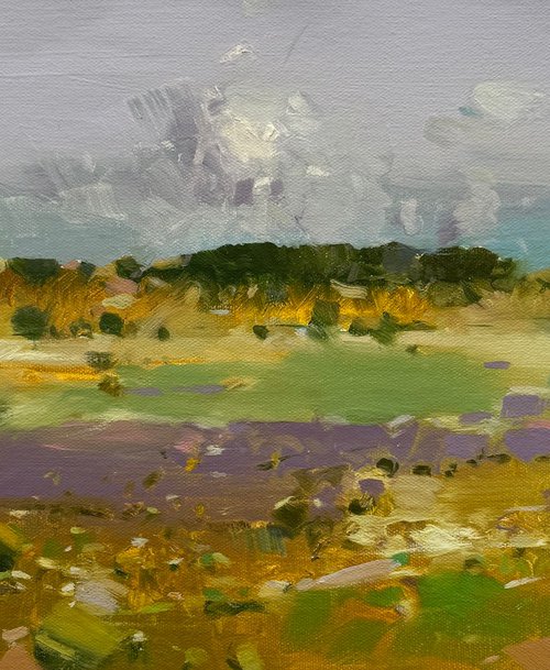 Lavenders Valley by Vahe Yeremyan